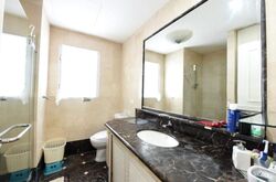 Regency Park (D10), Condominium #520720411
